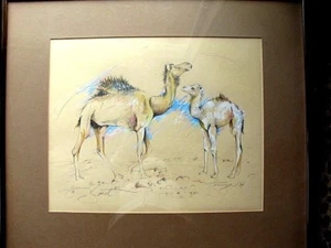 Arte original enmarcado y mate, 2 camellos, pastel y lápiz, fino firmado - Imagen 1 de 9