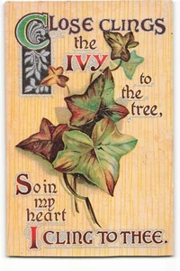 Close Clings the Ivy to the tree in my heart I Cling to Thee VTG Postcard CG3. - Picture 1 of 2