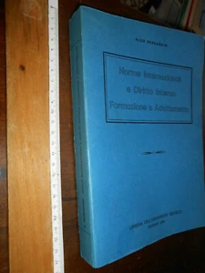 LIBRO:NORME INTERNAZIONALI E DIRITTO INTERNO FORMAZIONE E ADATTAMENTO  BERNARDIN - Bild 1 von 1