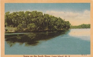 Vintage Postkartenszene an der Südufer, Long Island, New York - Bild 1 von 2