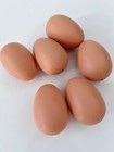 AU 6 Children Kids Easter Craft Art DIY Fake Plain Eggs Hunt Model Decoration
