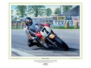 Barry Sheene- Suzuki TR750 at Woodcote corner Silverstone 1976 Grand Prix - Picture 1 of 3