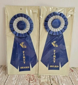 2 Nastri Premio Blu 1° Posto Nastri Premio Rosetta Nastro Gran Premio - Foto 1 di 2