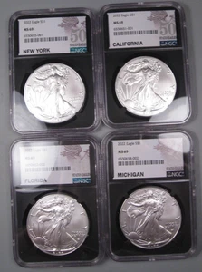 4-2022 "50 Stati Aquile" Argento American Eagle NGC MS69 NY, CA, MI, FL. #16 - Foto 1 di 11