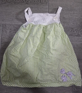 Baby Girl size 12-18 mo GYMBOREE Floral Embroidered Dress Green Purple - Picture 1 of 3