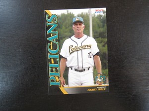 2004 Choice Myrtle Beach Pelicans # 32 Randy Ingle Card (B17) Atlanta Braves