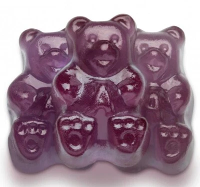 Albanese Concord Grape Bears Gummy Gummies Candy Candies 5 Pounds Free Shipping