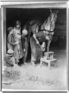 Photo:Shoeing a horse 1901 - Picture 1 of 1