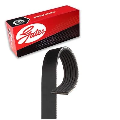 Cinturón Gates Serpentine para Chevrolet Silverado 2500 HD 2007-2009 6,6 L V8 diésel Foto 1 de 4