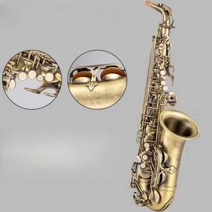 New Different color E-flat alto saxophone, alto sax with case and mouthpieces - Picture 1 of 10