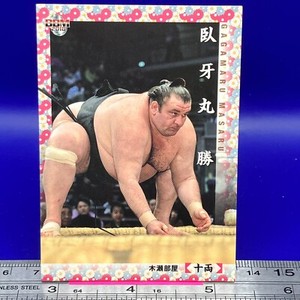 Gagamaru Masaru 64 Sumo Wrestler Trading Card BBM 2018 TCG Japanese #266a