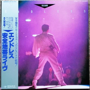 Anzen Chitai - Endless / VG / 2xLP, Album, Tra - Picture 1 of 1