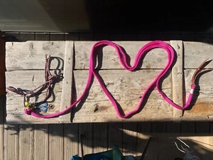 Outlet: Set Halfter (Moveo) xxs Triberry mit Bodenarbeitsseil Light in Pink 3.9m - Bild 1 von 6