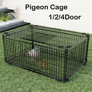 Pigeon Cage Iron Birds Trap Cage with Two-Way Entry Escape-Proof Design - Picture 1 of 12
