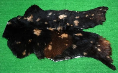 Alfombra de piel de taxidermia occidental CABRA patrón natural piel de cabra cuero de cabra SA-1064 Foto 1 de 3