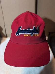 Baseball-Truckermütze Kolibri Angeln Elektronik verstellbar rot Netzriemen  - Bild 1 von 5