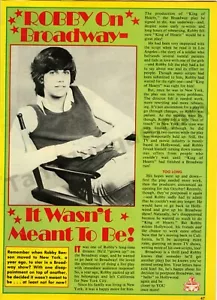 1978 Robby Benson Teen Heartthrob Actor PRINT ARTICLE Fan Gift Idea! (3502) - Picture 1 of 1