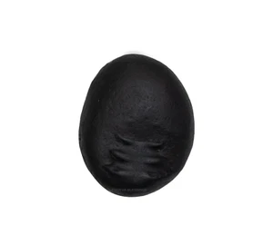 Sacred Maha Vishnu Tilak Shaligram Shila - Gandaki River Nepal - Picture 1 of 2