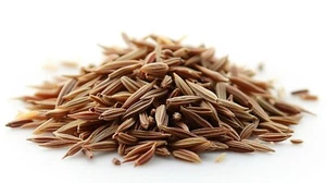 Dry Caraway Seeds Long - Bulk Premium Quality - 200g 500g 1kg 2kg 5kg 10kg 20kg - Picture 1 of 2