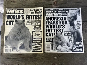 2 Vintage Weekly World News Magazines: Fattest Cat, Gets Anorexia - Picture 1 of 4