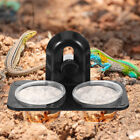 Crested Gecko Accessories Glass Canisters Feeding Tray