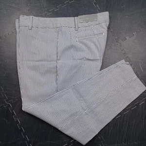 Talbots Hampshire Ankle Pants Petites Womans Size 16P Blue White Stripe NWT - Picture 1 of 13