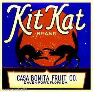 Davenport Florida Set Kat schwarze Katzen Halloween orange Obstkiste Etikett Druck - Bild 1 von 1