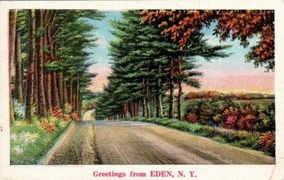 POSTCARD GREETINGS FROM EDEN NEW YORK - Image 1 of 2