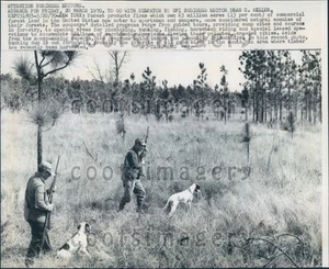 1970 Quail Hunters With Dogs Press Photo - Picture 1 of 2