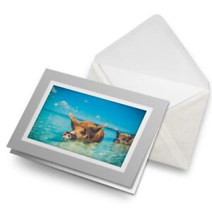 Greetings Card (Grey) - Wild Swimming Pigs The Bahamas #46443