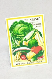 Magnet Porcelain W.D. Burt Co. Dalton NY Sunrise Vegetable Seed Packet - Picture 1 of 7