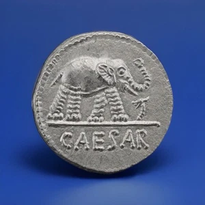 Roman Denarius of Caius Julius Caesar Elephant Modern Coin - Picture 1 of 2