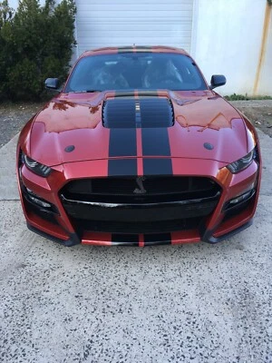 Ford Mustang Gold Ticket 2020 Foto 1 de 4