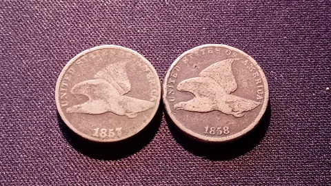 1857 & 1858 S.L. Flying Eagle Cents Cover