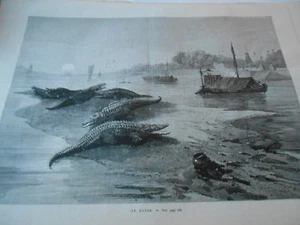 Gravure 1878 - Vue du Gange Inde Alligator crocodile - Picture 1 of 1