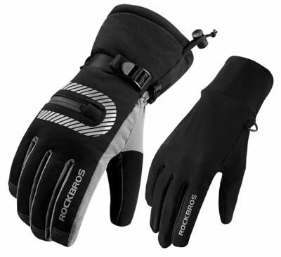 ROCKBROS Motorrad Handschuhe Skihandschuhe 2 in 1 Frühling Warm Winterhandschuhe