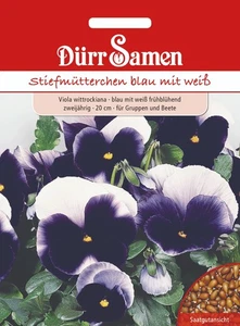 Stiefmütterchen blau mit weiß Samen von Dürr Samen ca 120 Korn - Bild 1 von 1