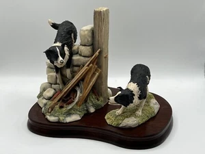 Border Fine Arts Collie Dogs 'TODAS LAS COSAS SABIAS Y MARAVILLOSAS' "Bob & Sweep" JH58 - Imagen 1 de 24