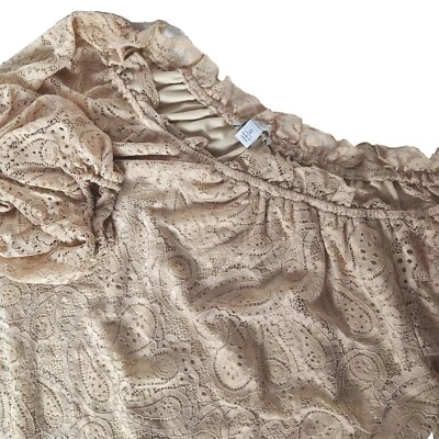 Blusa para mujer Cato dorada glamorosa talla pequeña arpillera marrón manga campana ganchillo Foto 1 de 4