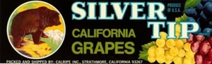 *Original* SILVER TIP Strathmore Calif Brown Bear Grape Crate Label NOT A COPY! - Picture 1 of 2