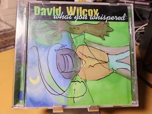 David WIlcox - What You Whispered - Promo CD - Picture 1 of 5