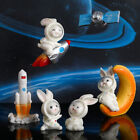 1Pc Cartoon Space Rabbit Micro Landscape Resin Crafts Diy Home AccessoriSA