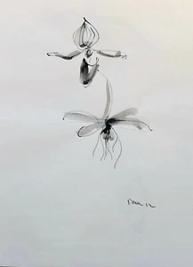 Carl Dahl (flourish 1990- ). American, Arizona. Study of an animal form. - Picture 1 of 1