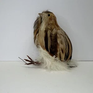 Bird Shades Of Brown Tan White Fluffy Feathers Floral Design Christmas Ornament - Picture 1 of 7