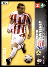 Panini - Coca-Cola Championship (2007) Peter Sweeney Stoke City No. 247