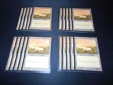 20 Basic Land #334 - SAME ART - Plains - Urza's Saga - MP-NM - Magic MTG FTG