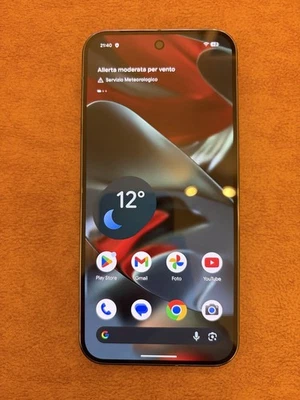 Google Pixel 9 Pro XL 256GB in Garanzia - Immagine 1 di 4
