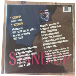Thunder Stand Up 1994 Picture Disc 7 Inch Vinyl Single EMI - Picture 1 of 6