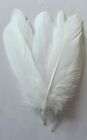 PACK OF 6 X GOOSE SHOULDER FEATHERS -  CRAFTS, MILLINERY, FLY TYING ETC-COLOURS