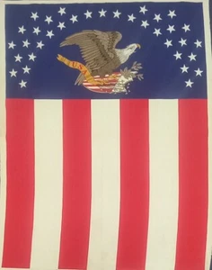 Vintage American Eagle Flag Banner, Patriotic Folk Art - Picture 1 of 7